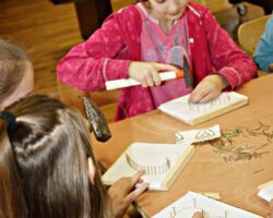 II DZIEŃ FERII
STRING ART