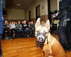 IV DZIEŃ - SPOTKANIE Z DZIELNICOWYM ORAZ
FUNKCJONARIUSZKĄ
GINĄ