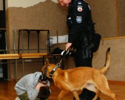 IV DZIEŃ - SPOTKANIE Z DZIELNICOWYM ORAZ
FUNKCJONARIUSZKĄ
GINĄ