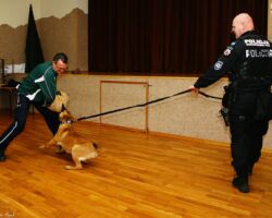 IV DZIEŃ - SPOTKANIE Z DZIELNICOWYM ORAZ
FUNKCJONARIUSZKĄ
GINĄ